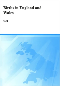 Births in England and Wales 2024