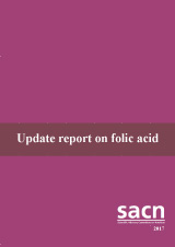 SACN Update report on folic acid July 2017