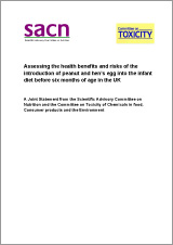 Assessing the health benefits and risks of the introduction of peanut and hen's egg into the infant diet before six months of age in the UK