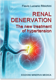 Renal denervation