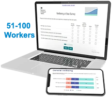 Wellbeing at Sea Tool (First year licence fee) 