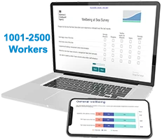 Wellbeing at Sea Tool (First year licence fee) 