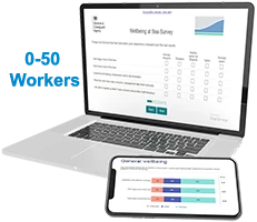 Wellbeing at Sea Tool (First year licence fee) 