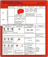 SOLAS - No. 2 Life-saving signals: answering signals made by life-saving stations